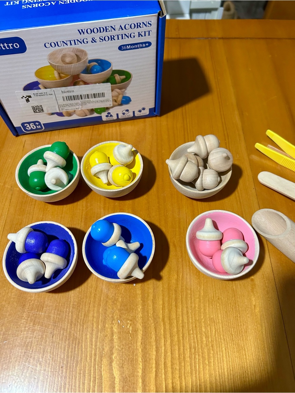 Wooden Acorn counting and sorting kit